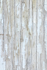 Fototapeta na wymiar Grunge white wood, can be used for background.
