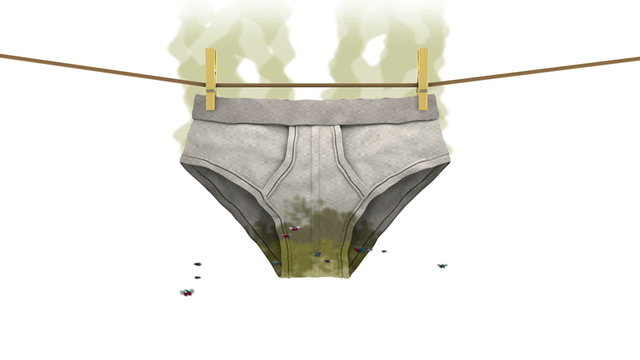 Flies and the Stench.

