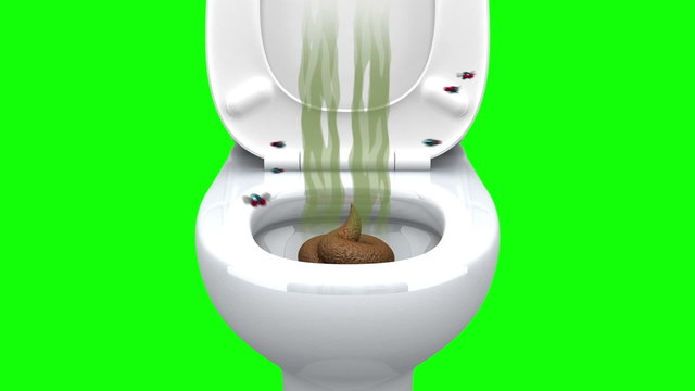 Flies and the Stench.
