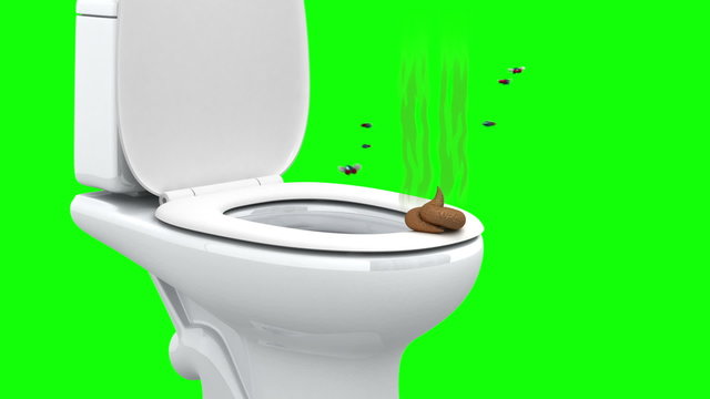 Flies and the Stench.
