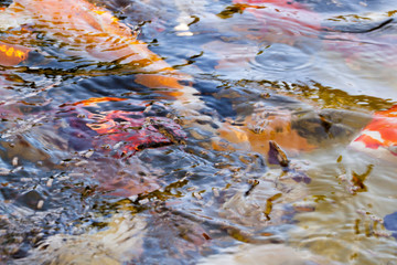 Wasser und Farben