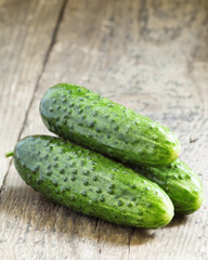 Fresh  cucumbers, selective focus