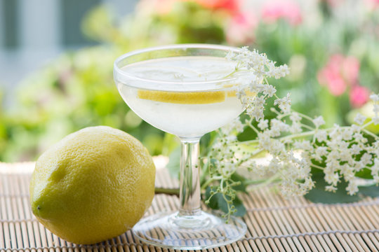 Summer Drink Elderflower Lemonade