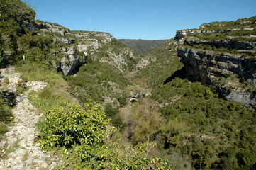 Minerve 37