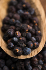 Juniper berries on a wooden background