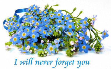 Vergissmeinnicht Gru&szlig;karte