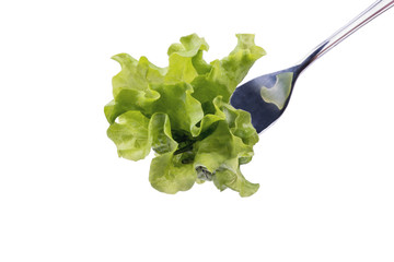 Lettuce leaves on a fork