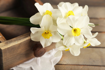 Fresh narcissus in chest on wooden table, closeup