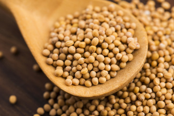 Spicy mustard seeds in a wooden background