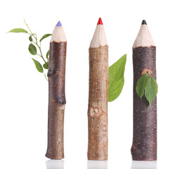 Wooden pencils with leaf isolated on white