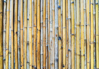 Natural bamboo background.