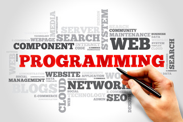 Programming word cloud, business concept