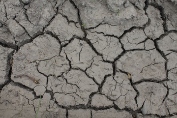 dried cracked earth