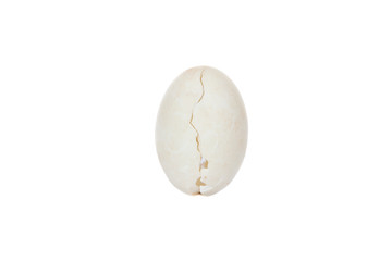 Close-up of cracked egg isolated over white background