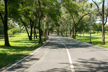 Fototapeta na wymiar Road in city park at Vachirabenjatas Park (Rot Fai Park) Bangkok