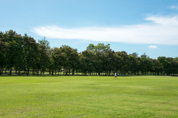 City park at Vachirabenjatas Park (Rot Fai Park) Bangkok, Thaila