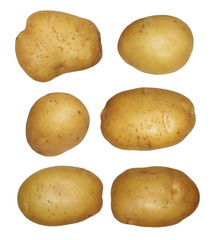 set potatoes isolated on white background