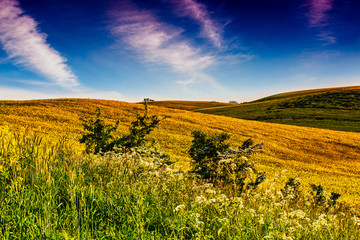 wiosna na Warmii © Janusz Lipiński