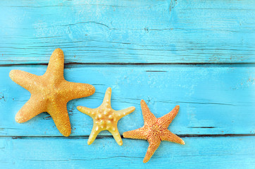 Family of starfish. Summer beach.