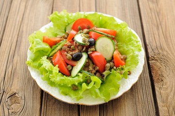 Lentil salad with fresh tomatoes, cucumbers, capers and lettuce