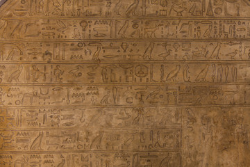 Fototapeta na wymiar Hieroglyph