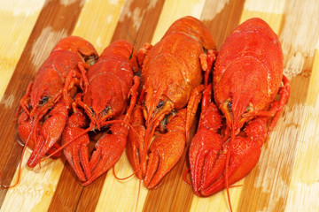 Four red boiled crawfishes taken closeup.
