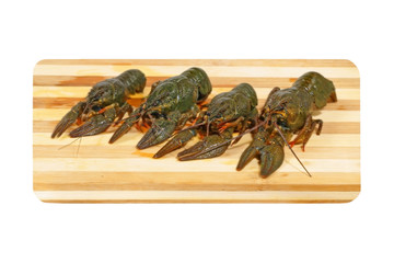 Four uncooked crawfishes on a wooden board.Isolated.