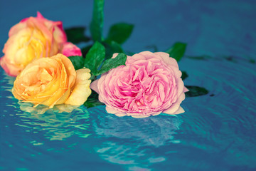 Bouquet of roses in a water