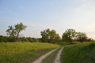 Fototapeta premium Весна на дятьковской земле