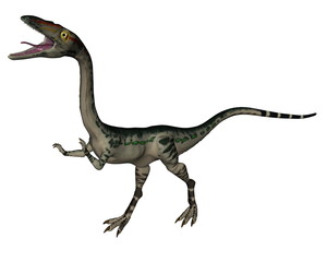 Obraz na płótnie Canvas Coelophysis dinosaur - 3D render