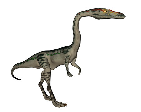 Coelophysis dinosaur - 3D render