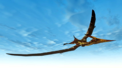 Pteranodon bird flying - 3D render © Elenarts