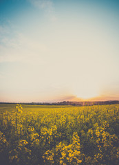 Retro sunset landscape © Maciej Czekajewski