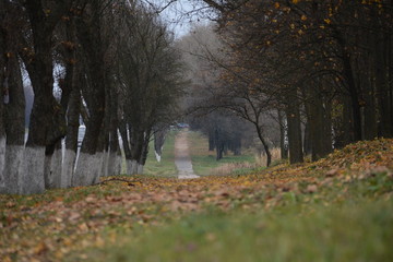 Осень