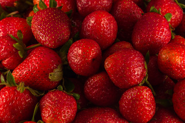 Close up of juicy garden strawberries