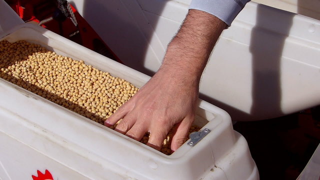 Loading seeder with soybean seed.