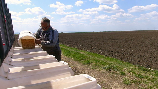 Loading seeder with soybean seed.