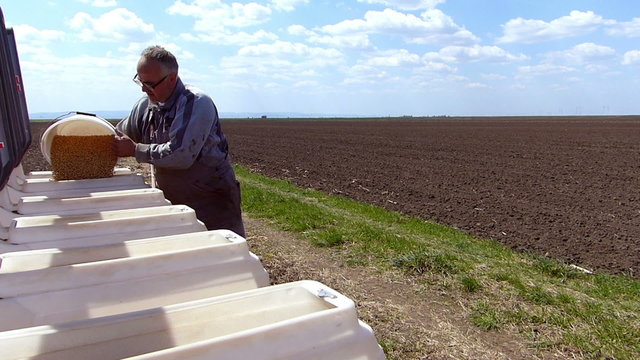 Loading seeder with soybean seed.