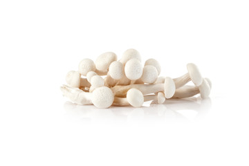 Fototapeta na wymiar Fresh white mushrooms isolated on white background