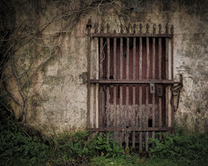 Fototapeta premium Rusted gate