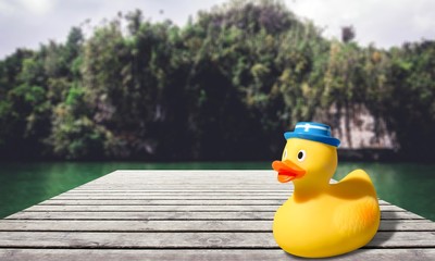 Rubber Duck, Toy, Rubber.