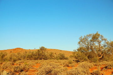 Australian outback