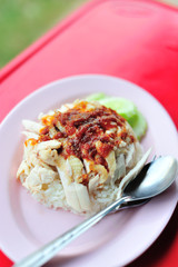 Chicken and rice thai food in soft light