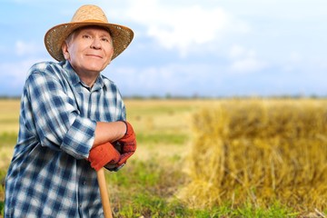 Gardening, Senior Adult, Men.