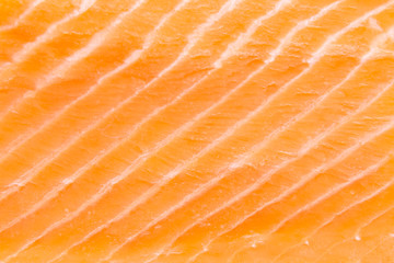 Raw salmon meat