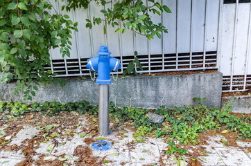 Blue fire hydrant on autumn street, Sofia, Bulgaria  