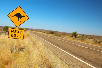 Photo sur Aluminium Australie Kangourous sur la route