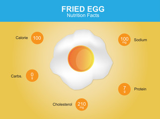 fried egg nutrition facts, fried egg with information, fried egg vector