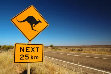 Keuken foto achterwand Australië Kangoeroes op de weg