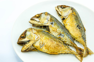 mackerel fried on white plate